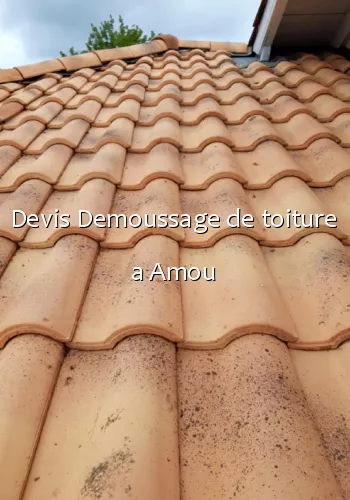 Devis Demoussage de toiture a Amou