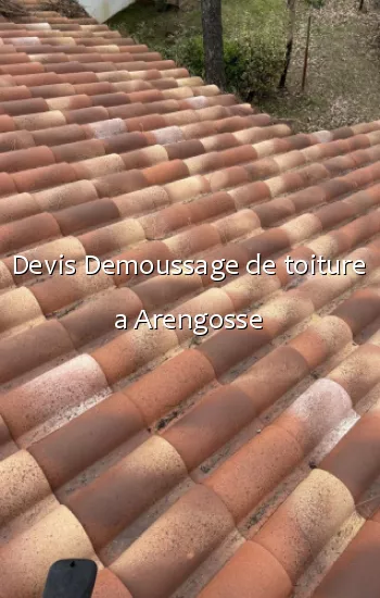 Devis Demoussage de toiture a Arengosse