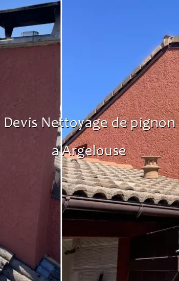 Devis Nettoyage de pignon a Argelouse