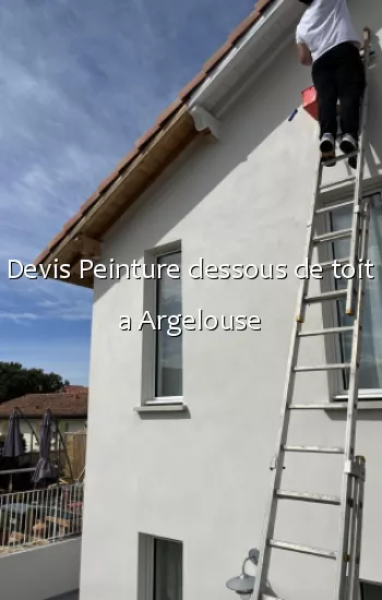 Devis Peinture dessous de toit a Argelouse