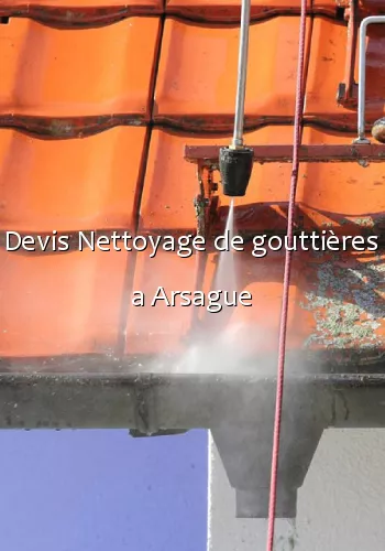 Devis Nettoyage de gouttières a Arsague