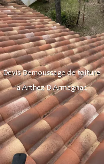 Devis Demoussage de toiture a Arthez D Armagnac