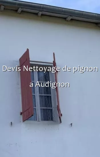 Devis Nettoyage de pignon a Audignon