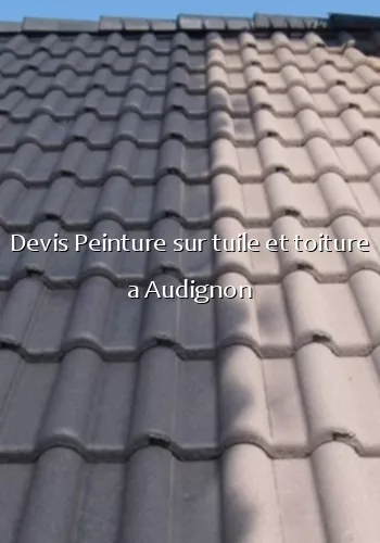 Devis Peinture sur tuile et toiture a Audignon