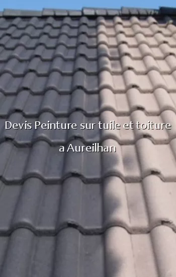 Devis Peinture sur tuile et toiture a Aureilhan