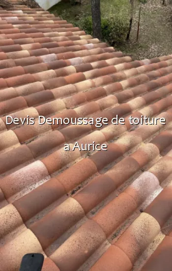 Devis Demoussage de toiture a Aurice