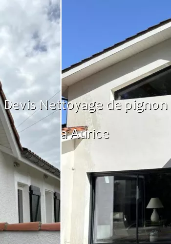 Devis Nettoyage de pignon a Aurice