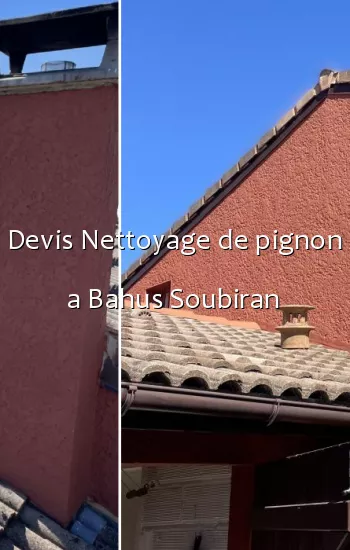 Devis Nettoyage de pignon a Bahus Soubiran