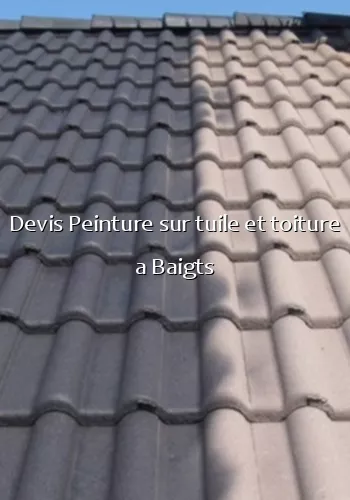 Devis Peinture sur tuile et toiture a Baigts