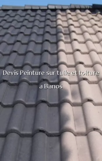 Devis Peinture sur tuile et toiture a Banos