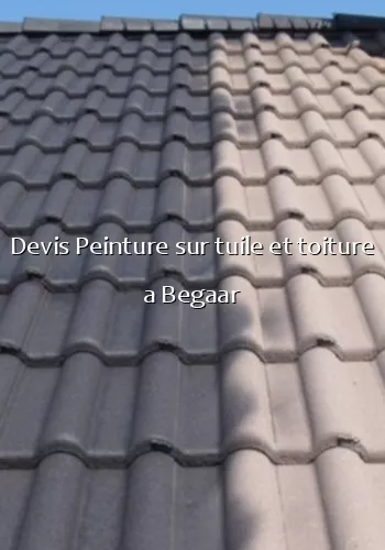 Devis Peinture sur tuile et toiture a Begaar