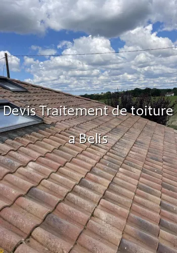 Devis Traitement de toiture a Belis