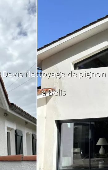 Devis Nettoyage de pignon a Belis