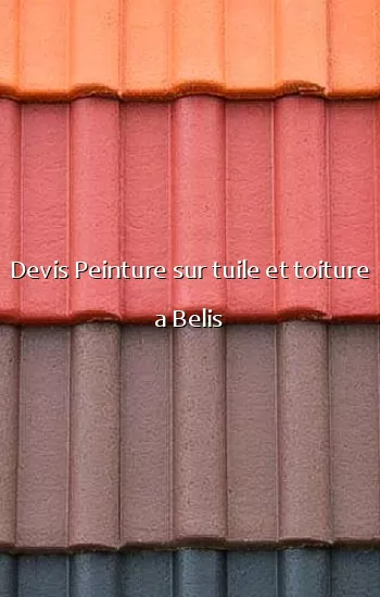 Devis Peinture sur tuile et toiture a Belis