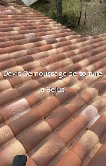 Devis Demoussage de toiture a Belus