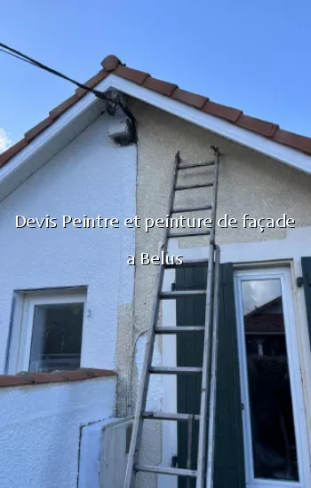 Devis Peintre et peinture de façade a Belus