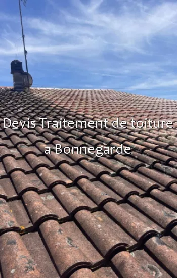 Devis Traitement de toiture a Bonnegarde