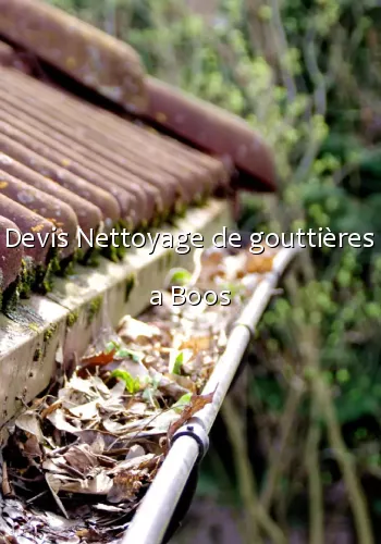 Devis Nettoyage de gouttières a Boos