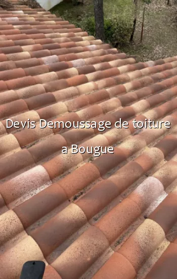 Devis Demoussage de toiture a Bougue