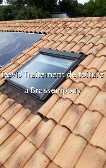 Devis Traitement de toiture a Brassempouy