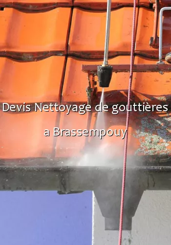 Devis Nettoyage de gouttières a Brassempouy