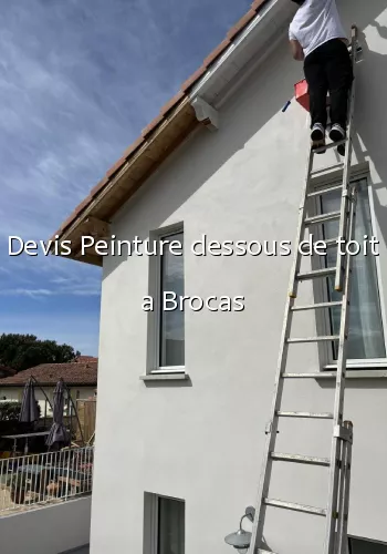 Devis Peinture dessous de toit a Brocas