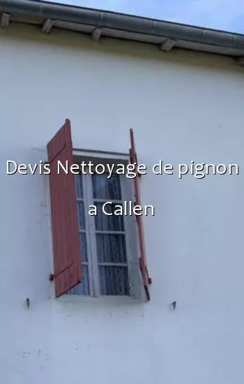 Devis Nettoyage de pignon a Callen