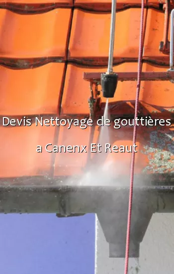 Devis Nettoyage de gouttières a Canenx Et Reaut