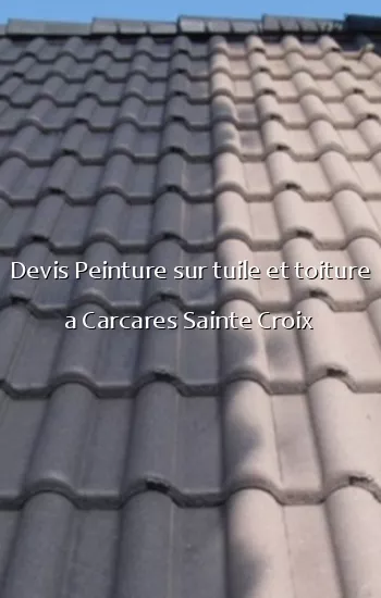 Devis Peinture sur tuile et toiture a Carcares Sainte Croix