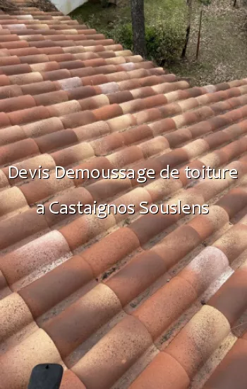 Devis Demoussage de toiture a Castaignos Souslens