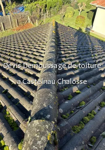 Devis Demoussage de toiture a Castelnau Chalosse