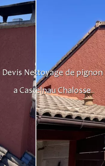 Devis Nettoyage de pignon a Castelnau Chalosse