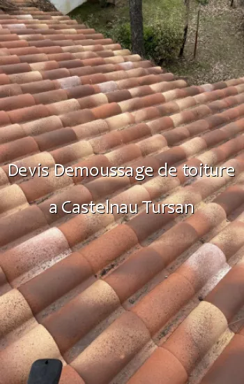 Devis Demoussage de toiture a Castelnau Tursan