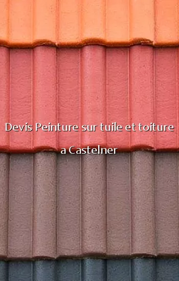 Devis Peinture sur tuile et toiture a Castelner