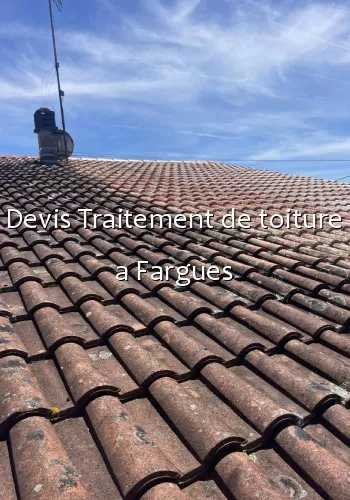 Devis Traitement de toiture a Fargues