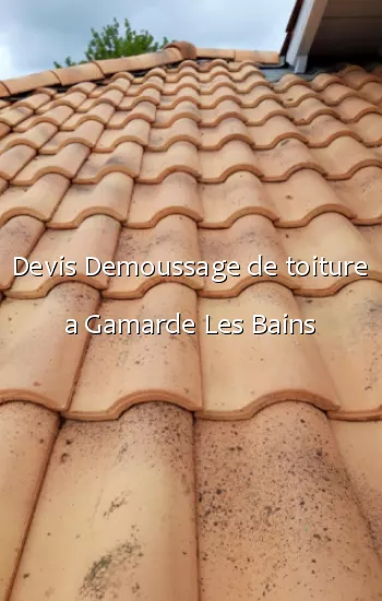 Devis Demoussage de toiture a Gamarde Les Bains