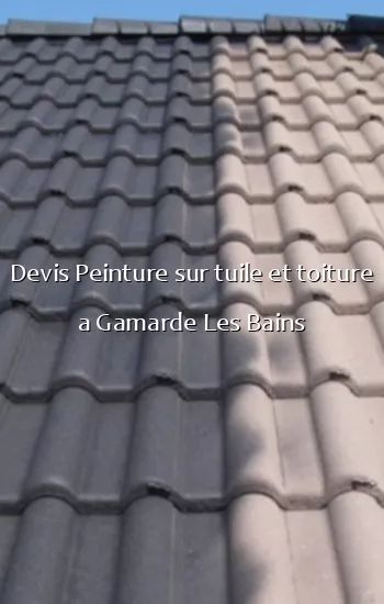 Devis Peinture sur tuile et toiture a Gamarde Les Bains