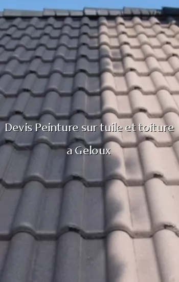 Devis Peinture sur tuile et toiture a Geloux