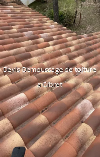 Devis Demoussage de toiture a Gibret