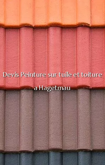 Devis Peinture sur tuile et toiture a Hagetmau