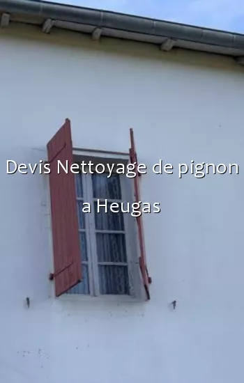 Devis Nettoyage de pignon a Heugas