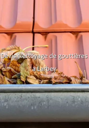 Devis Nettoyage de gouttières a Larbey