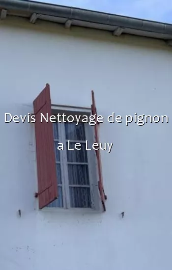 Devis Nettoyage de pignon a Le Leuy