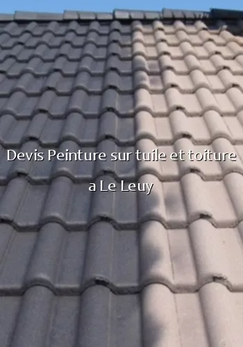 Devis Peinture sur tuile et toiture a Le Leuy