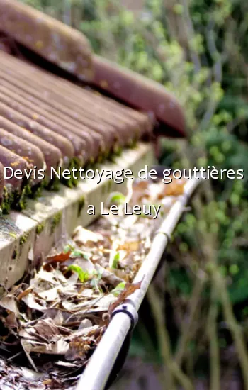 Devis Nettoyage de gouttières a Le Leuy