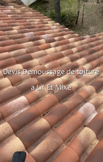 Devis Demoussage de toiture a Lit Et Mixe