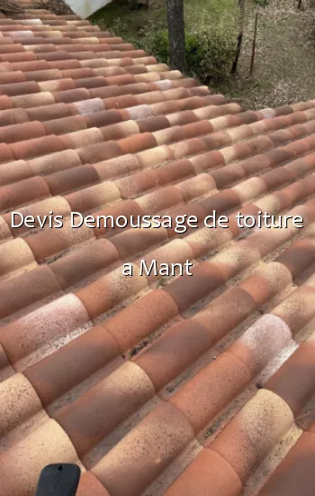 Devis Demoussage de toiture a Mant