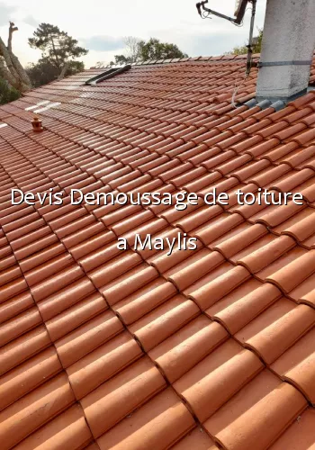 Devis Demoussage de toiture a Maylis