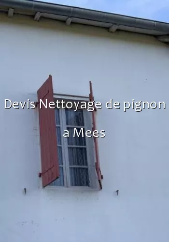 Devis Nettoyage de pignon a Mees