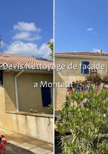 Devis Nettoyage de façade a Montaut